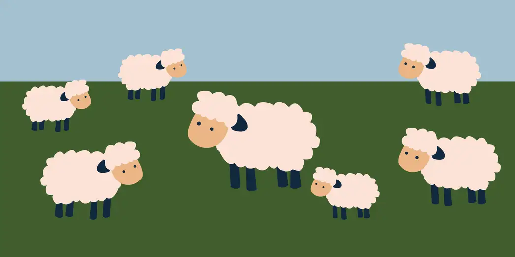 counting-sheep