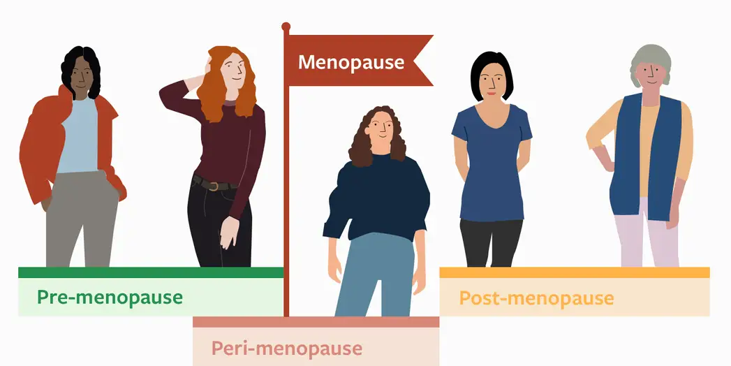 menopause-stages-2x