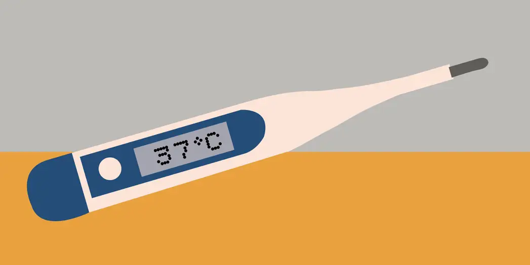 sleeo_and_temp_-thermometer_body