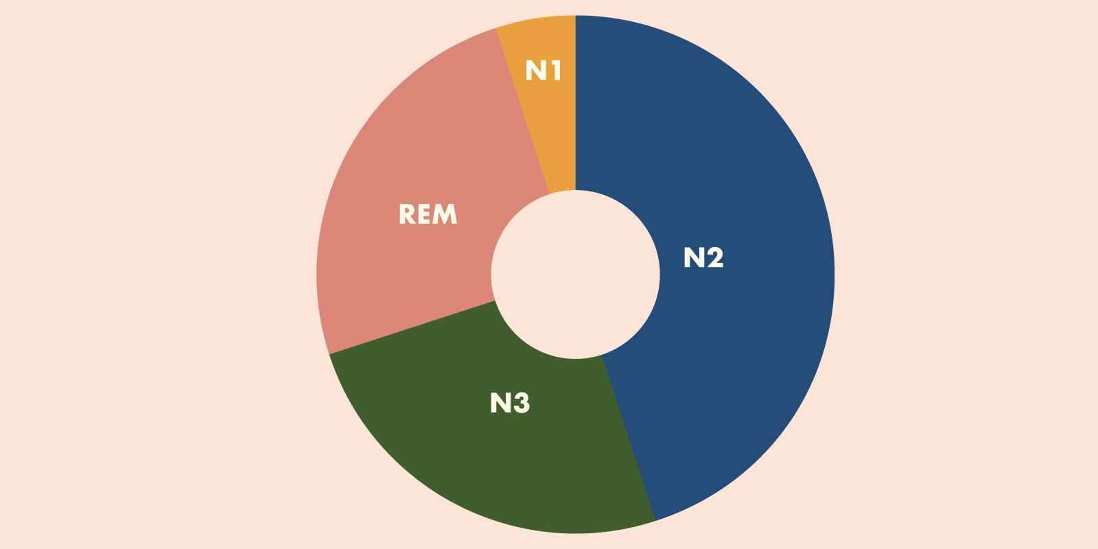 CBTi: A pie chart showing the amount of each sleep stage in one cycle.